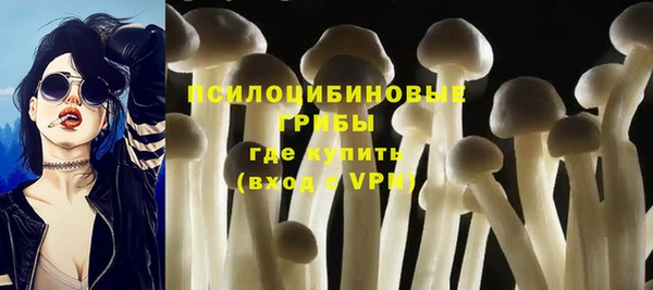 винт Алзамай