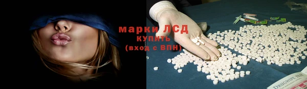 винт Алзамай